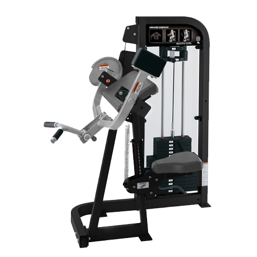 Biceps Curls (HSBC) Life Fitness