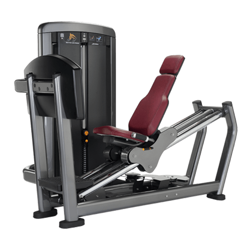 Seated Leg Press (SSSLP) Life Fitness