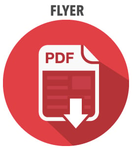 PDF-FLYER-ICON