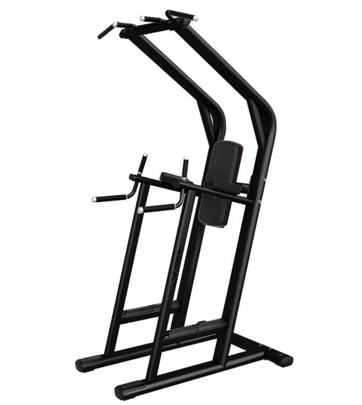 Signature Series Chin/Dip/Leg Raise (SCDLR)