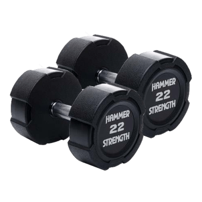 Free Weights & Accessories