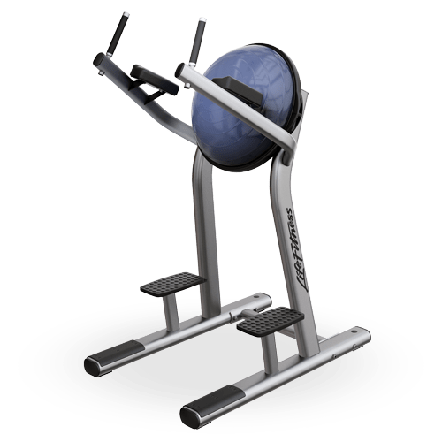 Signature Series Leg Raise (SLR) - Life Fitness