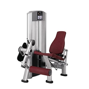 Pre-Owned Signature Series Leg Extension with ROM (PO-FZLE)