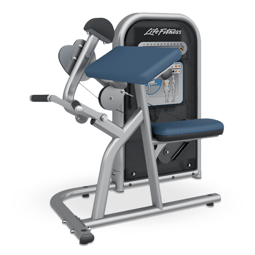 Machine bicep curl deals