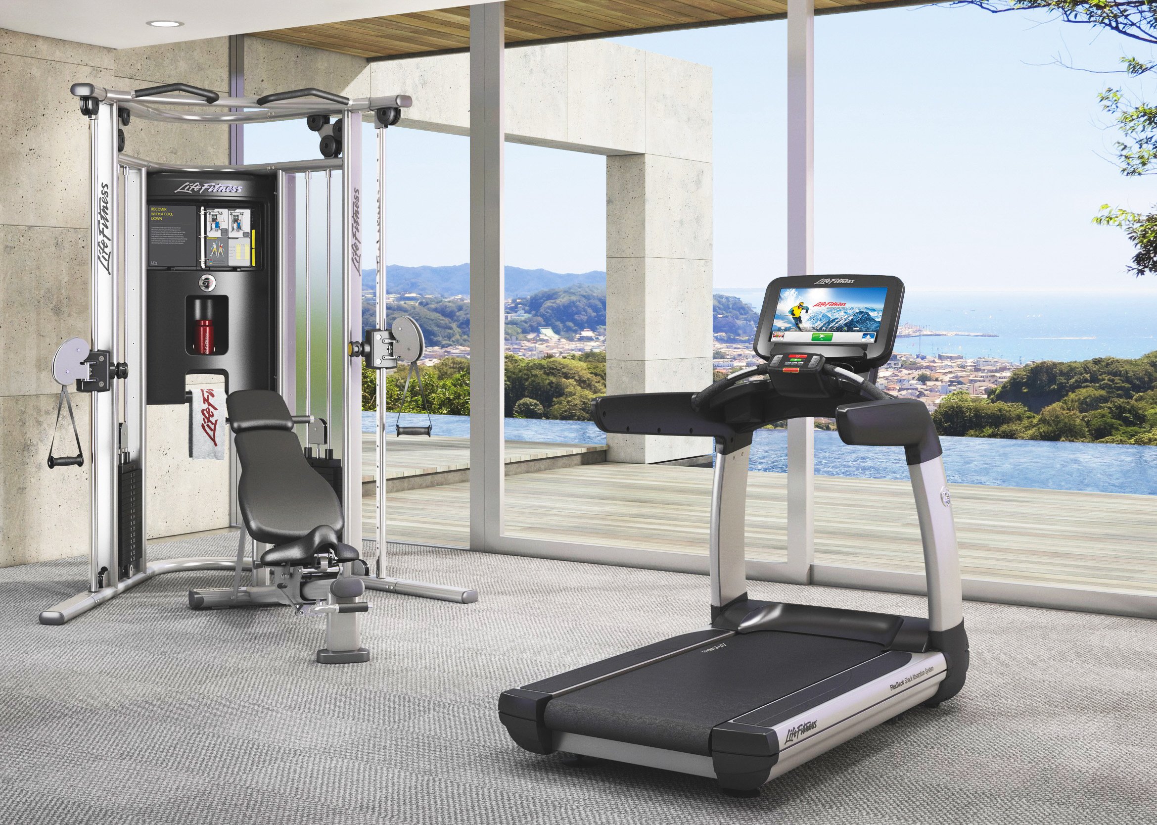 Fitness home equipment Life Fitness