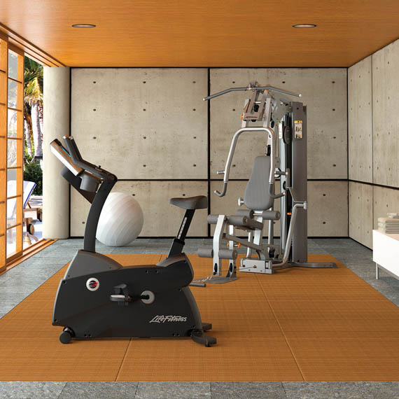 c3 lifecycle exercise bike