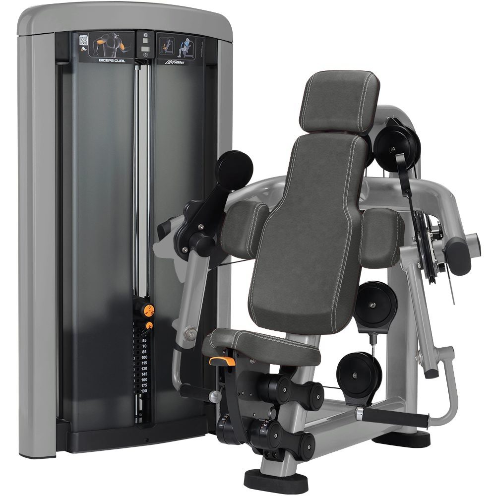 Life fitness bicep curl machine online