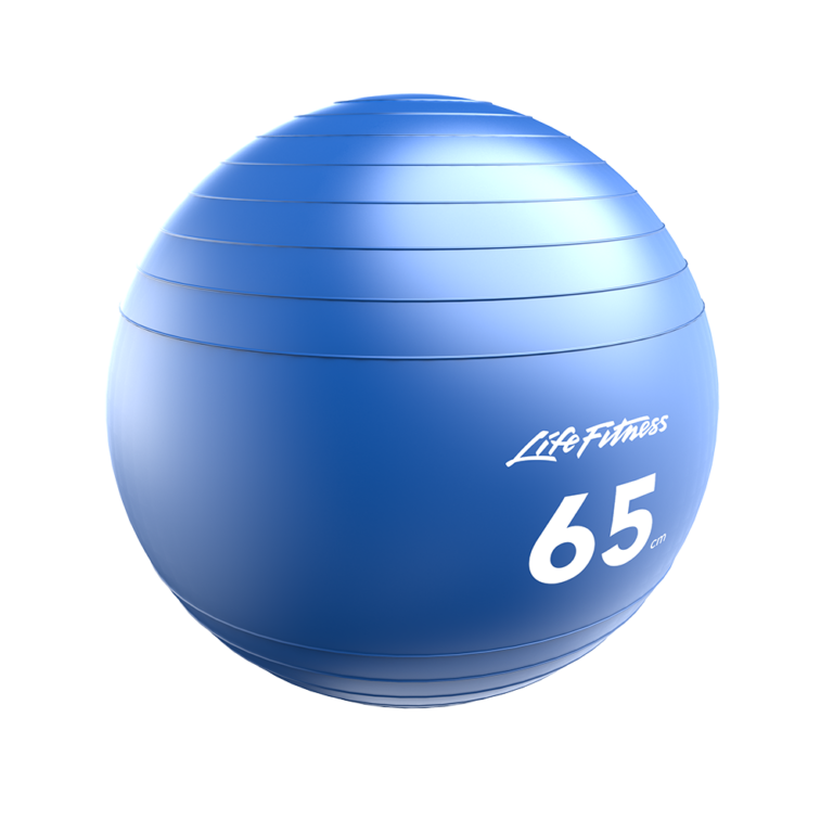 Life Fitness Stability Balls (LFSB) Life Fitness