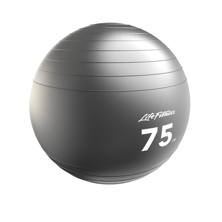 Life Fitness Stability Balls (LFSB) Life Fitness