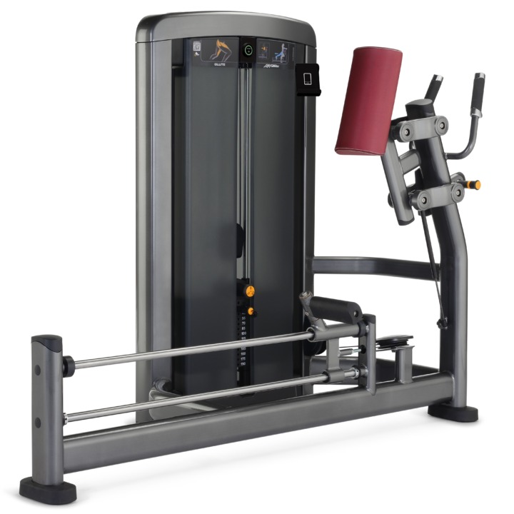 Insignia Series Glute (SS-GL)