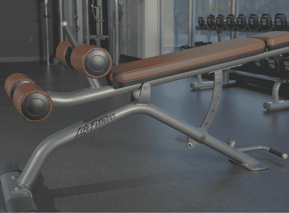 Life fitness decline bench hotsell