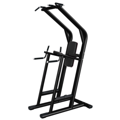 Life Fitness Leg Raise / Dip / Chin (LBR-LC)