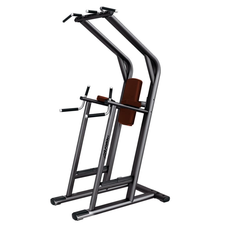Life Fitness Leg Raise / Dip / Chin (LBR-LC)