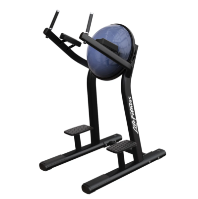 Life Fitness Leg Raise (LBR-LR)