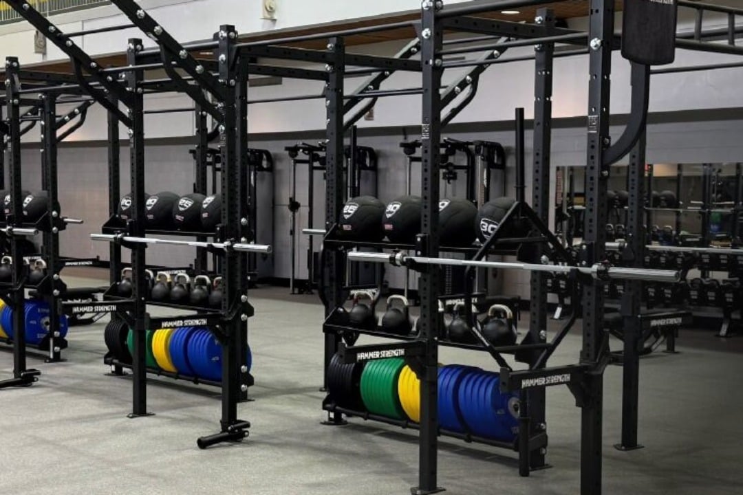 Hammer Strength Rig 2